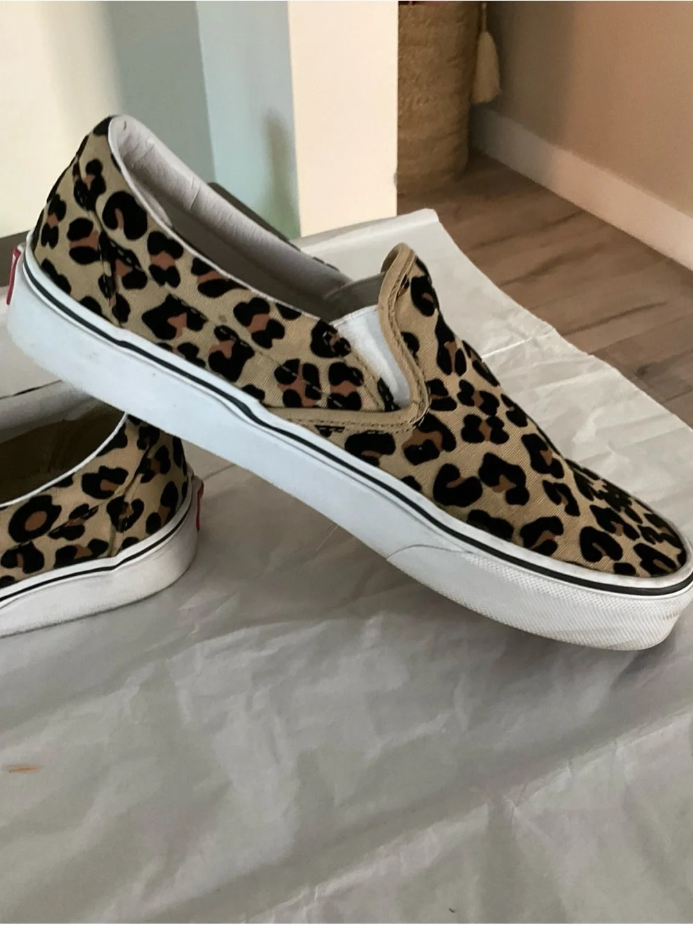 Vans slip van